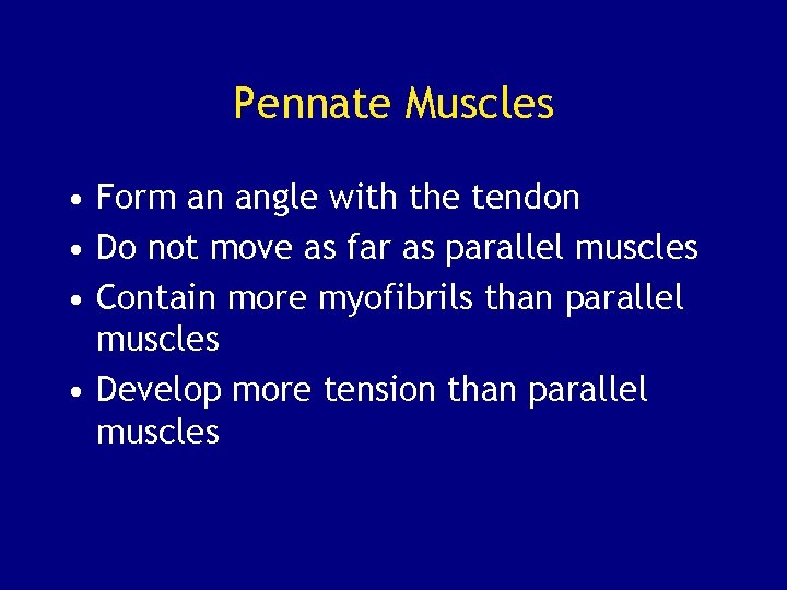 Pennate Muscles • Form an angle with the tendon • Do not move as