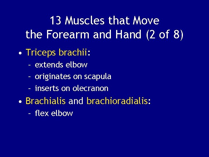 13 Muscles that Move the Forearm and Hand (2 of 8) • Triceps brachii: