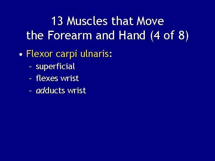 13 Muscles that Move the Forearm and Hand (4 of 8) • Flexor carpi