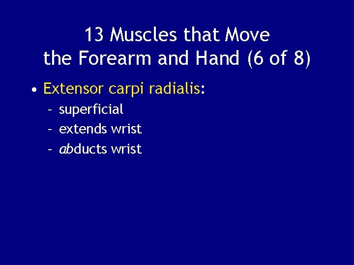 13 Muscles that Move the Forearm and Hand (6 of 8) • Extensor carpi