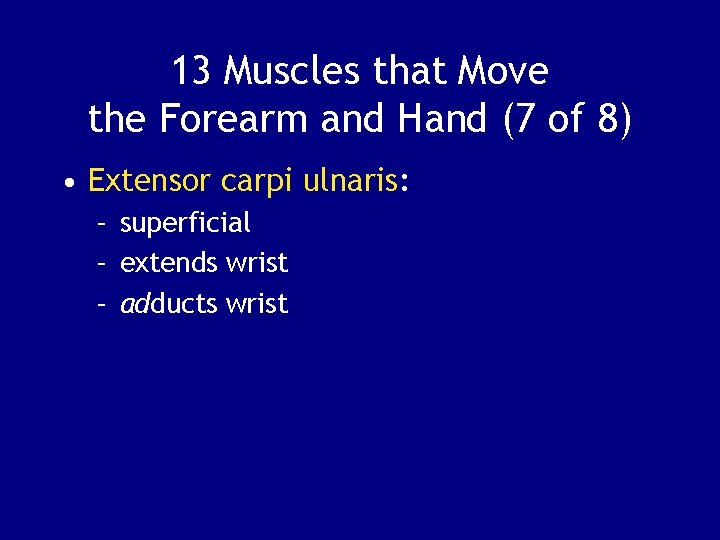 13 Muscles that Move the Forearm and Hand (7 of 8) • Extensor carpi