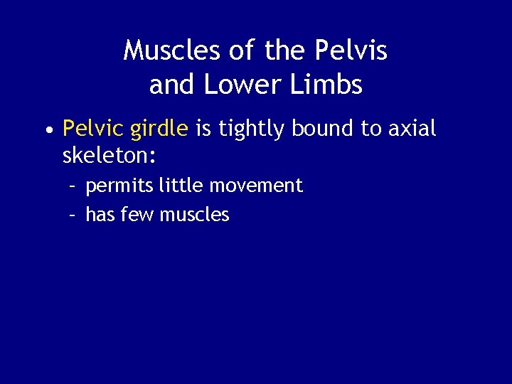 Muscles of the Pelvis and Lower Limbs • Pelvic girdle is tightly bound to