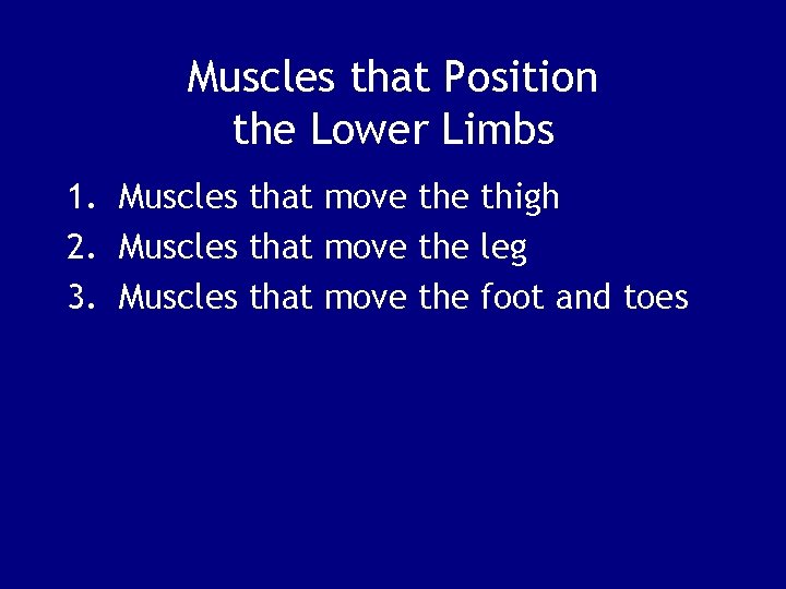 Muscles that Position the Lower Limbs 1. Muscles that move thigh 2. Muscles that
