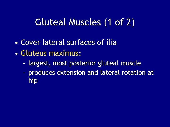 Gluteal Muscles (1 of 2) • Cover lateral surfaces of ilia • Gluteus maximus: