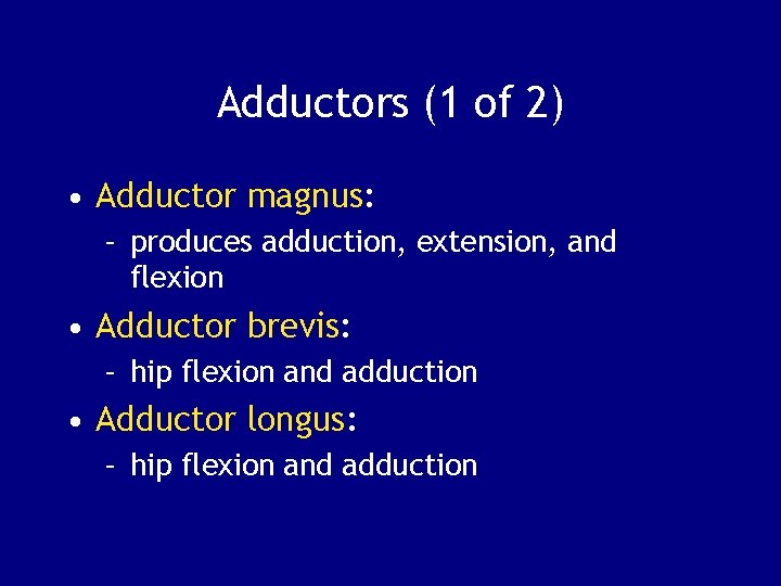 Adductors (1 of 2) • Adductor magnus: – produces adduction, extension, and flexion •