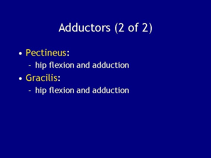 Adductors (2 of 2) • Pectineus: – hip flexion and adduction • Gracilis: –