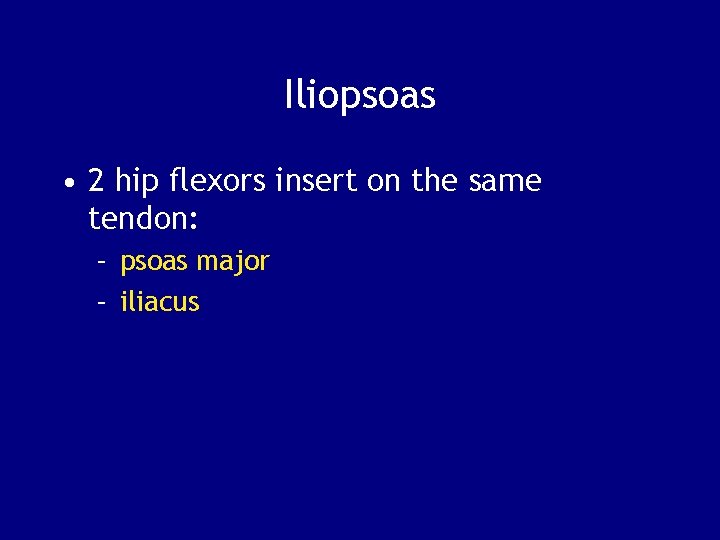 Iliopsoas • 2 hip flexors insert on the same tendon: – psoas major –