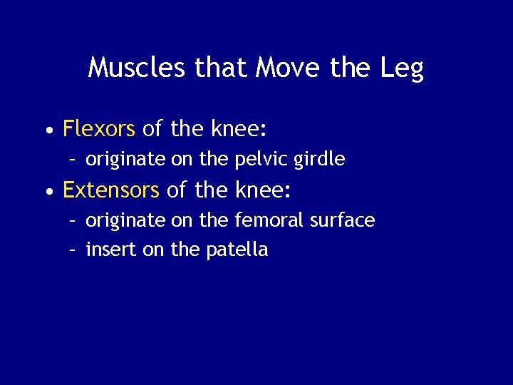 Muscles that Move the Leg • Flexors of the knee: – originate on the