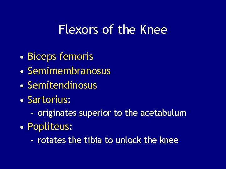 Flexors of the Knee • • Biceps femoris Semimembranosus Semitendinosus Sartorius: – originates superior