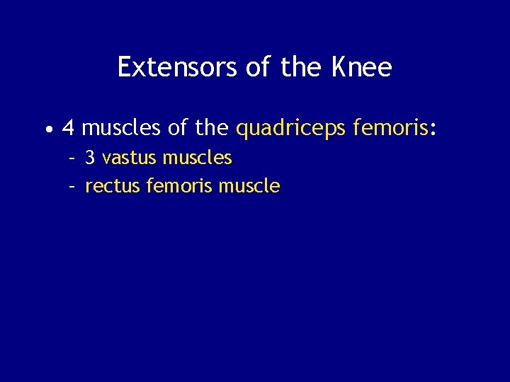 Extensors of the Knee • 4 muscles of the quadriceps femoris: – 3 vastus