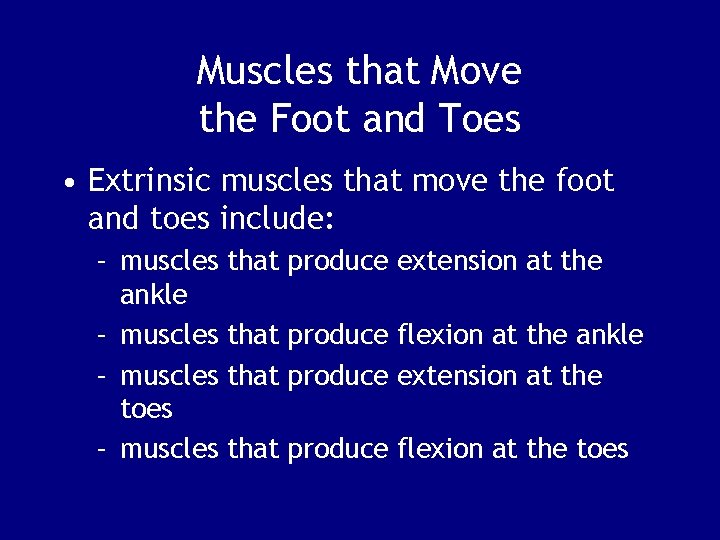 Muscles that Move the Foot and Toes • Extrinsic muscles that move the foot