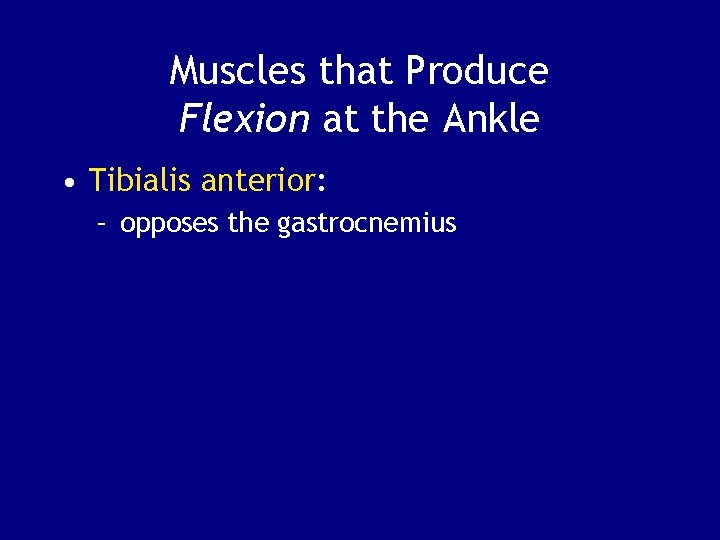 Muscles that Produce Flexion at the Ankle • Tibialis anterior: – opposes the gastrocnemius