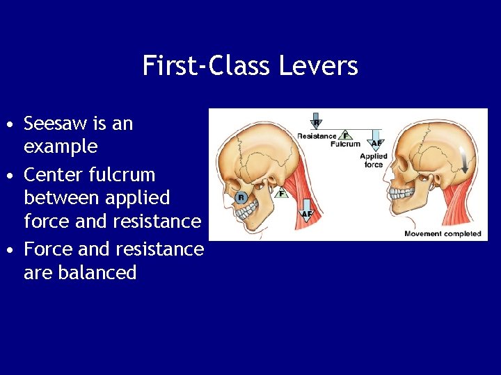 First-Class Levers • Seesaw is an example • Center fulcrum between applied force and