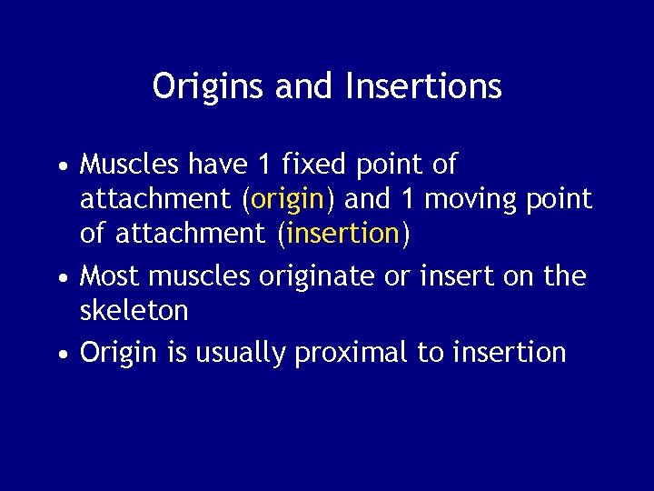 Origins and Insertions • Muscles have 1 fixed point of attachment (origin) and 1