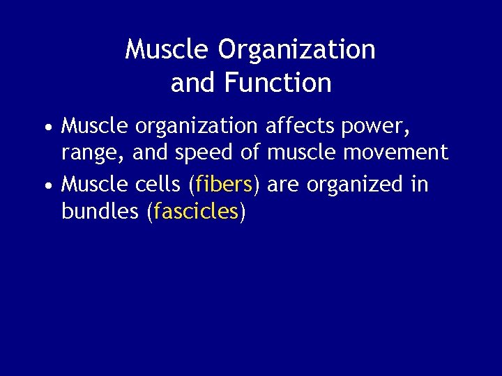 Muscle Organization and Function • Muscle organization affects power, range, and speed of muscle