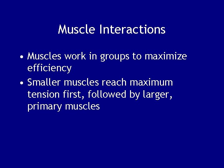 Muscle Interactions • Muscles work in groups to maximize efficiency • Smaller muscles reach