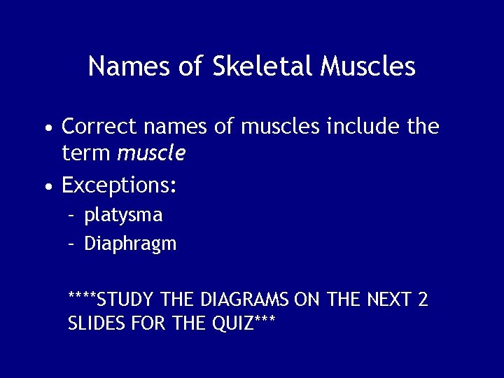 Names of Skeletal Muscles • Correct names of muscles include the term muscle •