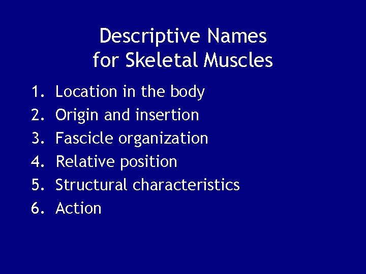 Descriptive Names for Skeletal Muscles 1. 2. 3. 4. 5. 6. Location in the