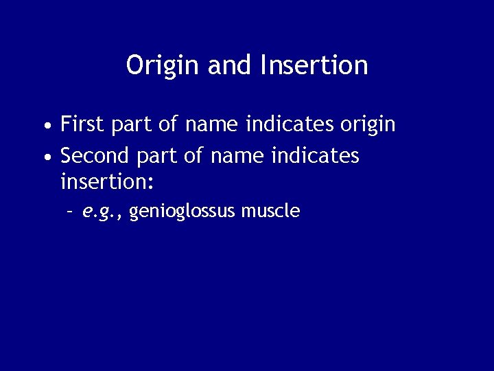 Origin and Insertion • First part of name indicates origin • Second part of