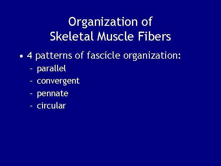 Organization of Skeletal Muscle Fibers • 4 patterns of fascicle organization: – – parallel