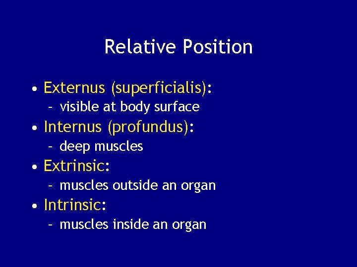 Relative Position • Externus (superficialis): – visible at body surface • Internus (profundus): –