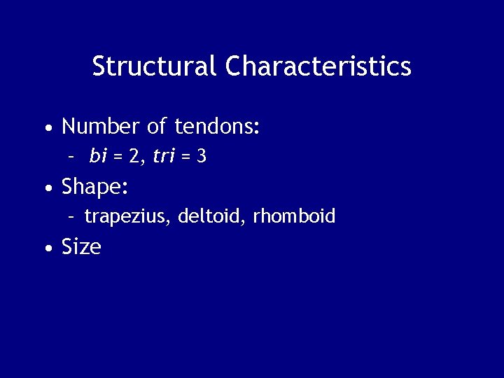 Structural Characteristics • Number of tendons: – bi = 2, tri = 3 •