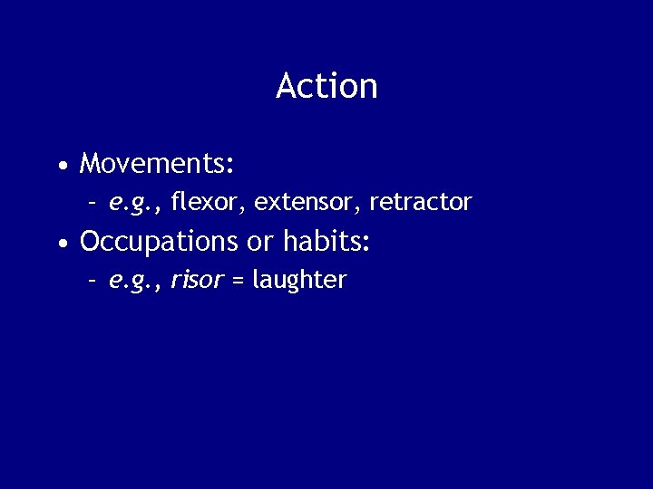 Action • Movements: – e. g. , flexor, extensor, retractor • Occupations or habits:
