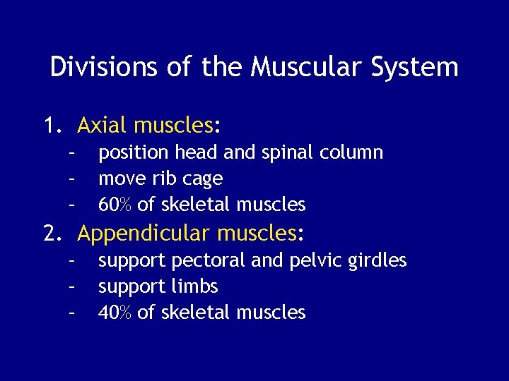 Divisions of the Muscular System 1. Axial muscles: – – – position head and