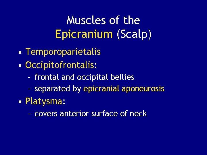 Muscles of the Epicranium (Scalp) • Temporoparietalis • Occipitofrontalis: – frontal and occipital bellies