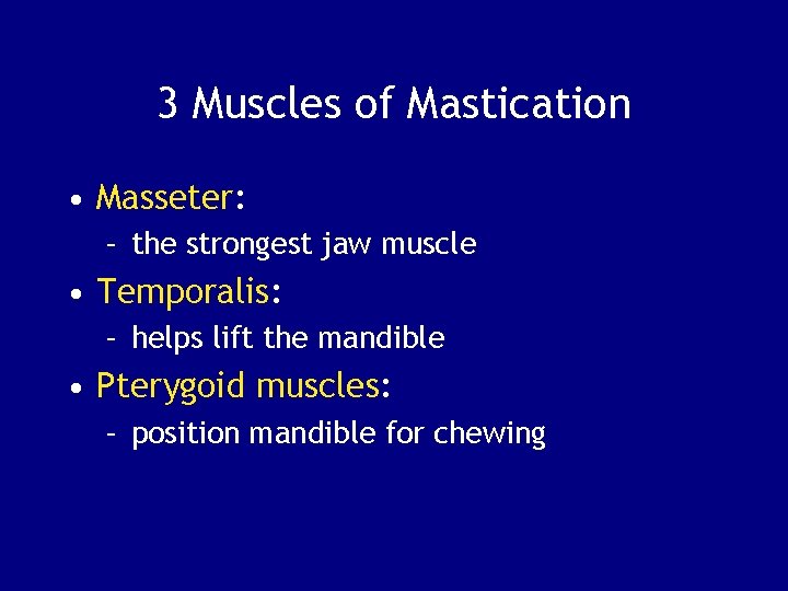 3 Muscles of Mastication • Masseter: – the strongest jaw muscle • Temporalis: –