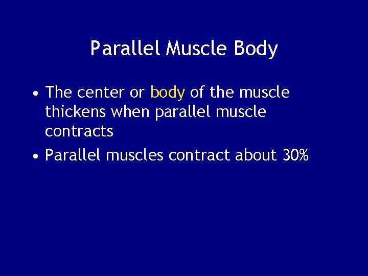 Parallel Muscle Body • The center or body of the muscle thickens when parallel