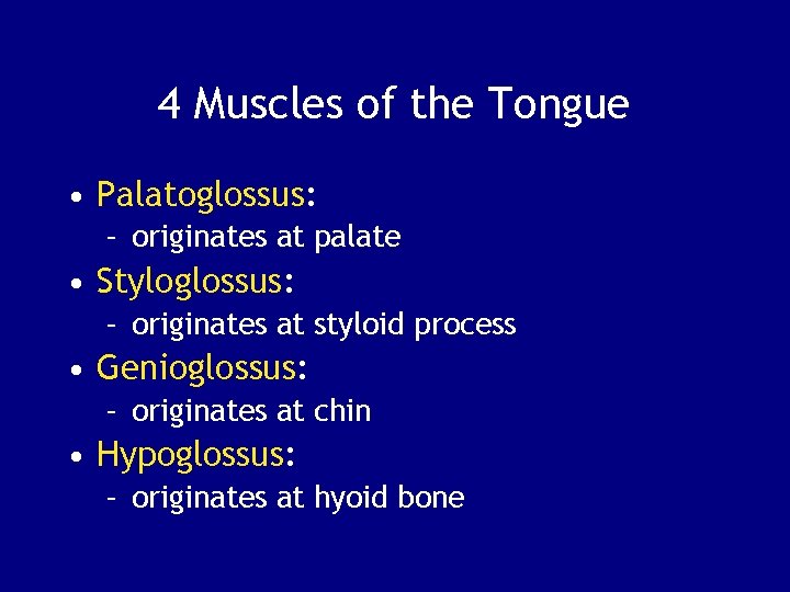 4 Muscles of the Tongue • Palatoglossus: – originates at palate • Styloglossus: –