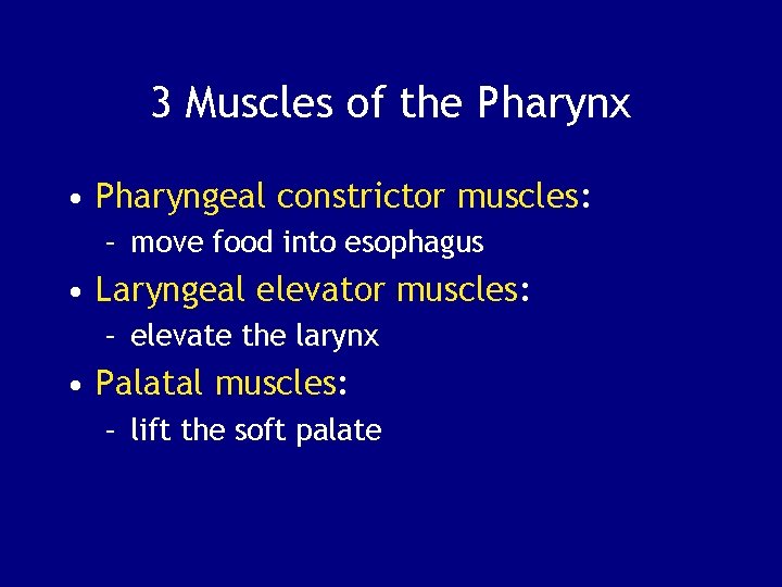 3 Muscles of the Pharynx • Pharyngeal constrictor muscles: – move food into esophagus