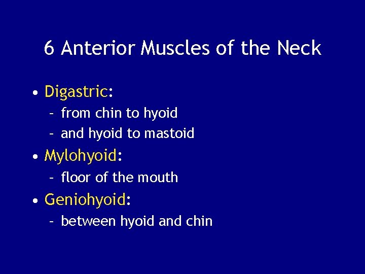 6 Anterior Muscles of the Neck • Digastric: – from chin to hyoid –