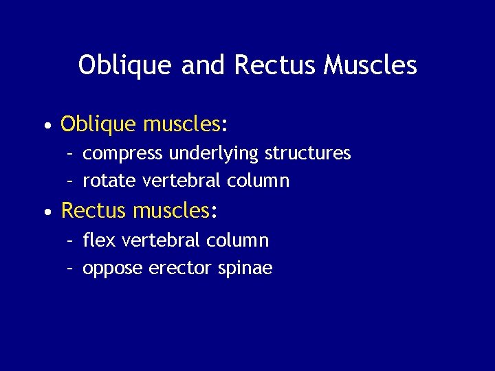 Oblique and Rectus Muscles • Oblique muscles: – compress underlying structures – rotate vertebral