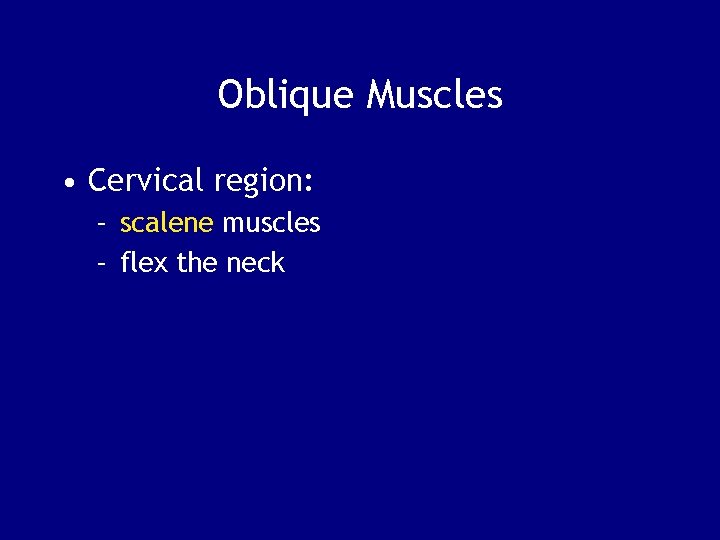 Oblique Muscles • Cervical region: – scalene muscles – flex the neck 