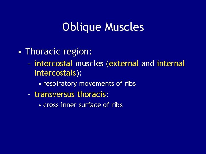 Oblique Muscles • Thoracic region: – intercostal muscles (external and internal intercostals): • respiratory