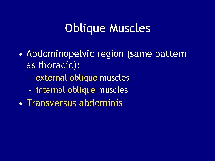 Oblique Muscles • Abdominopelvic region (same pattern as thoracic): – external oblique muscles –