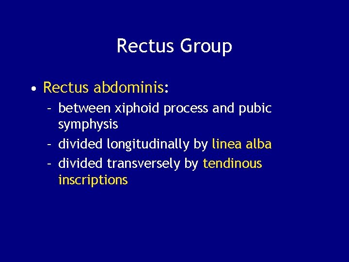 Rectus Group • Rectus abdominis: – between xiphoid process and pubic symphysis – divided