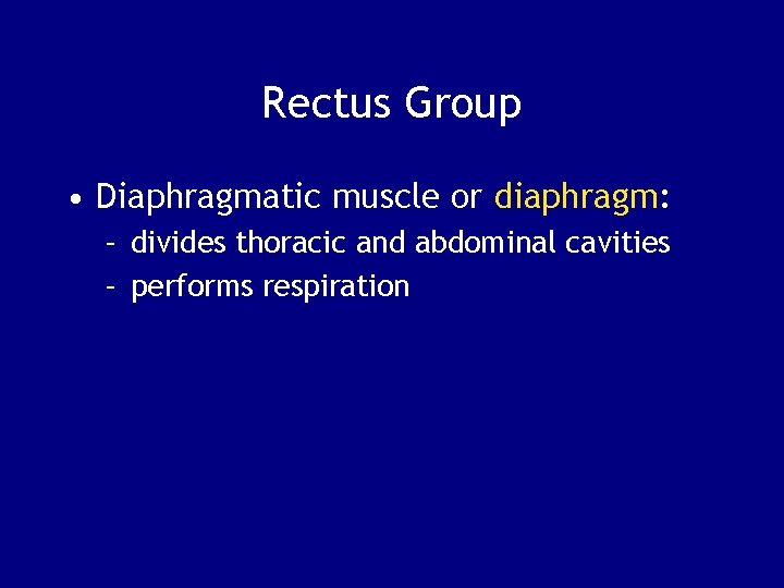 Rectus Group • Diaphragmatic muscle or diaphragm: – divides thoracic and abdominal cavities –