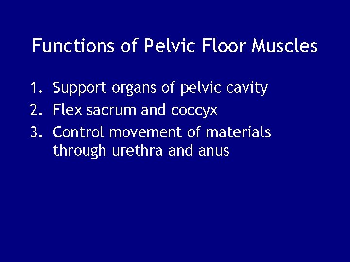 Functions of Pelvic Floor Muscles 1. Support organs of pelvic cavity 2. Flex sacrum