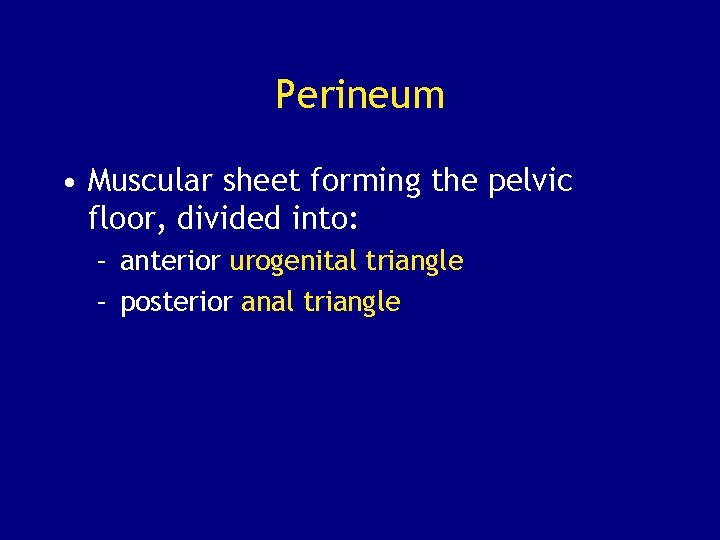 Perineum • Muscular sheet forming the pelvic floor, divided into: – anterior urogenital triangle