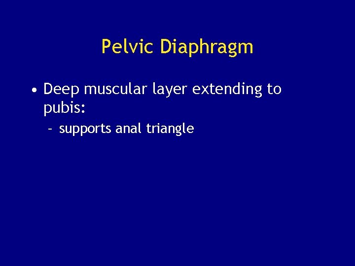 Pelvic Diaphragm • Deep muscular layer extending to pubis: – supports anal triangle 