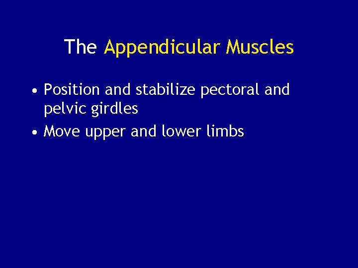 The Appendicular Muscles • Position and stabilize pectoral and pelvic girdles • Move upper