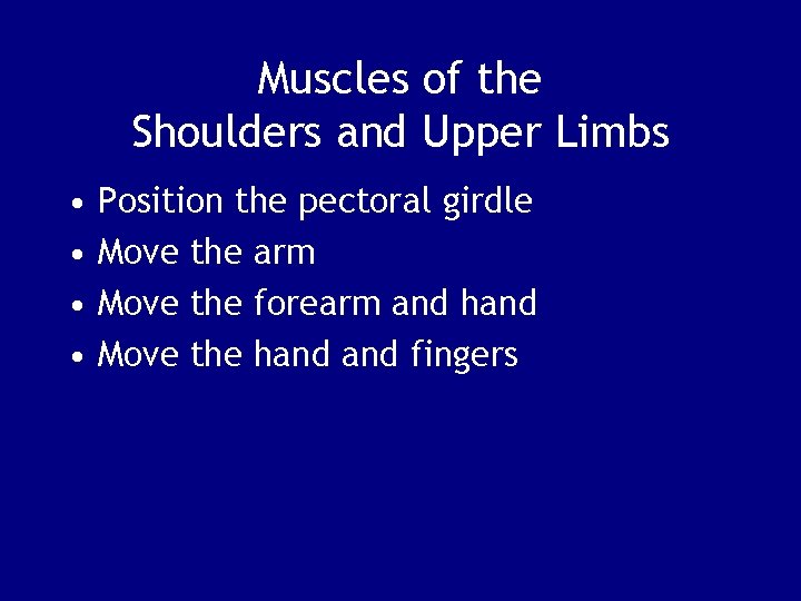 Muscles of the Shoulders and Upper Limbs • • Position the pectoral girdle Move