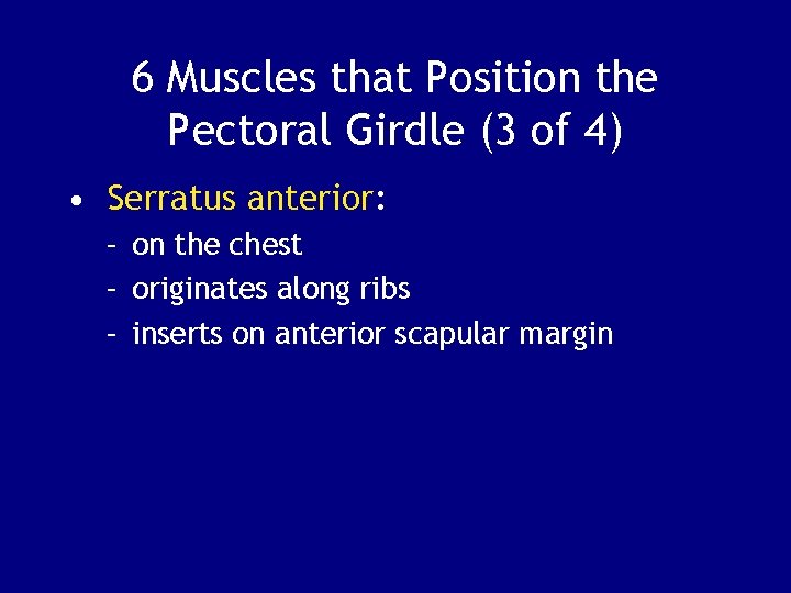 6 Muscles that Position the Pectoral Girdle (3 of 4) • Serratus anterior: –