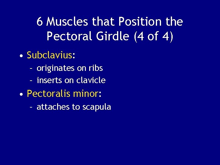 6 Muscles that Position the Pectoral Girdle (4 of 4) • Subclavius: – originates