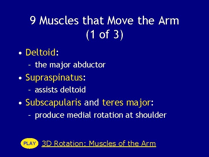 9 Muscles that Move the Arm (1 of 3) • Deltoid: – the major