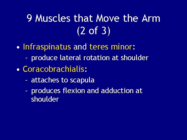 9 Muscles that Move the Arm (2 of 3) • Infraspinatus and teres minor: