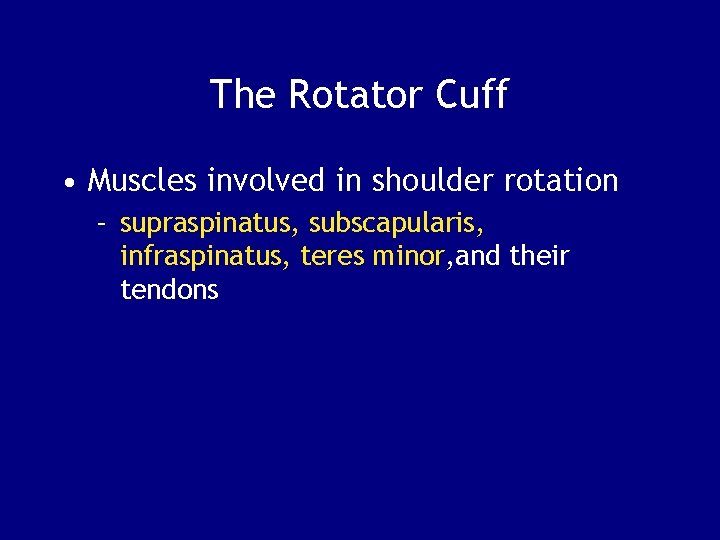 The Rotator Cuff • Muscles involved in shoulder rotation – supraspinatus, subscapularis, infraspinatus, teres